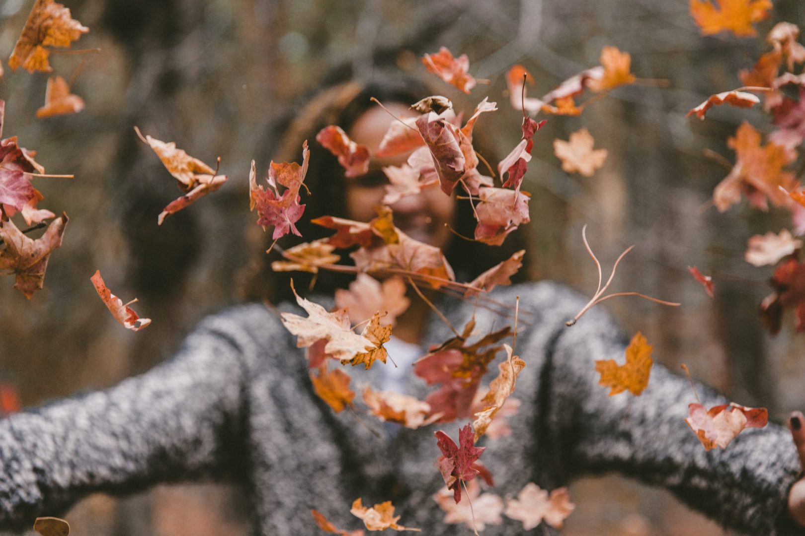 Outono: 2 receitas para você preparar durante a estação. Foto/Reprodução: Jakob Owens no Unsplash